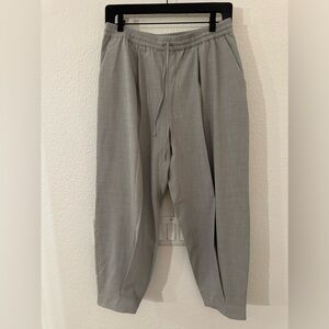 NWT Express pants